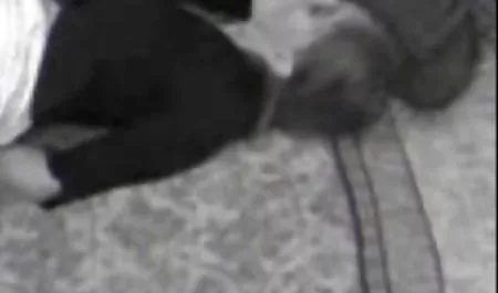 Загрози еротика з красивими дівчатами Натана, Тетяна Браун